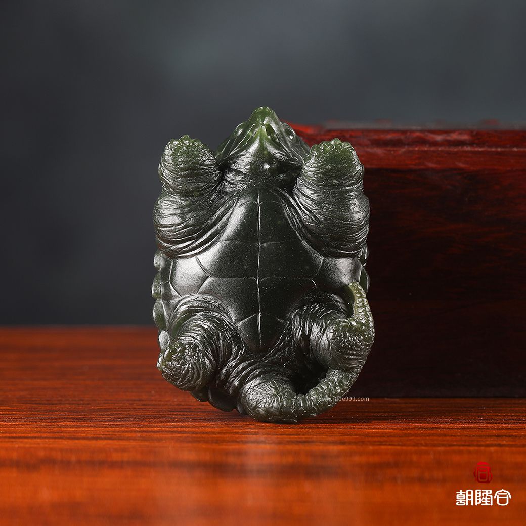 青玉长寿鳄龟 